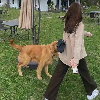 指定幸存者第一季
