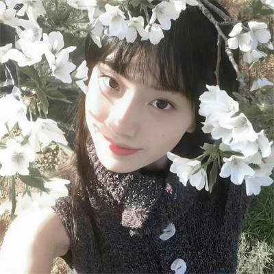 月球探秘